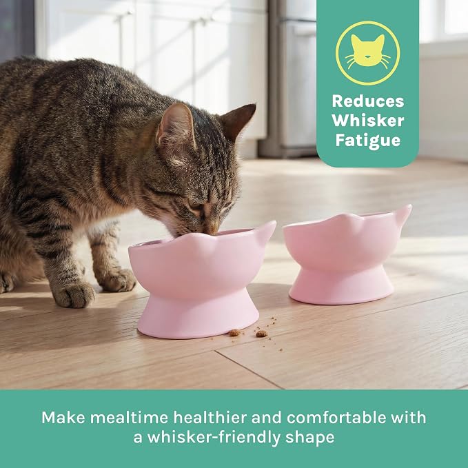 Kitty City Elevated Cat Bowls (Set of 2), Whisker-Friendly Raised Cat Food & Water Dishes, Modern Pedestal Design, Dishwasher Safe, 6.5 oz Each – Pink