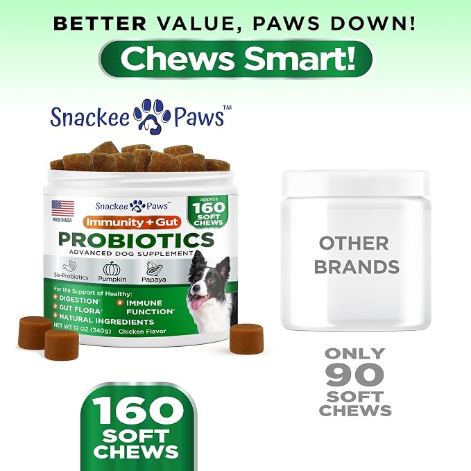 Probiotics for Dogs and Digestive Enzymes - Approx 160 Dog Probiotics Chews - Dog Probiotic - Anti Diarrhea, Upset Stomach & Gas Relief, Canine Prebiotic - Pet Fiber Supplement - Chicken Flavor