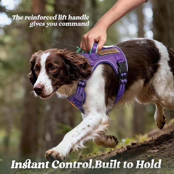 rabbitgoo Tactical Dog Harness for Large Dogs, No Pull Service Pet Vest | Military Molle System & Easy Control Handle, Adjustable and Reflective for Walking and Training, Purple, Large