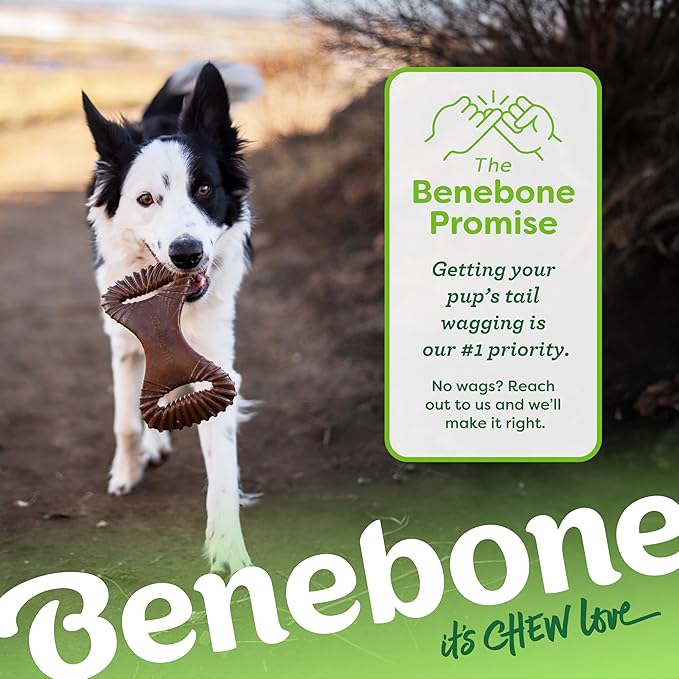 Benebone Dental Durable Dog Chew Toy for Aggressive Chewers, Real Peanut, Made in USA, Medium