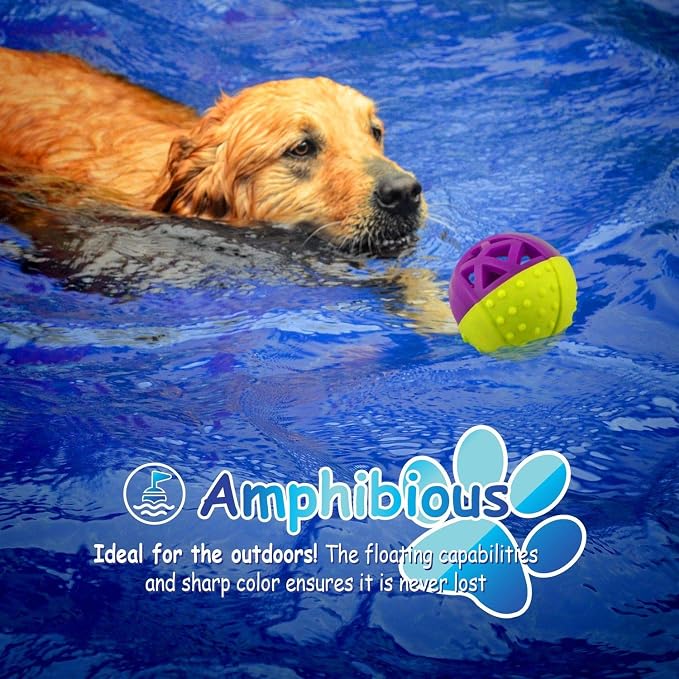 – Ball-Shaped Dog Squeaky Toy for Small-Medium Puppy & Dogs | Dental Dog Chew Treat Ball Helps Massage Dogs Gums, Good for Aggressive Chewers | Green/Purple