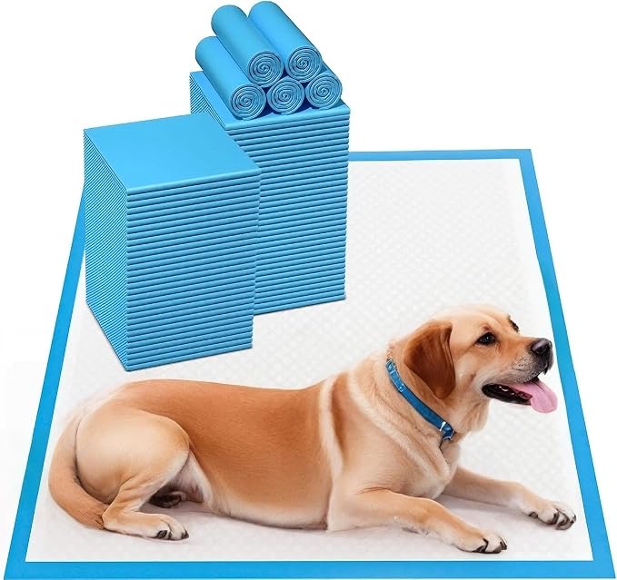 Aurora Pet Dog and Puppy Pee Pads with 5-Layer Leak-Proof Design and Quick-Dry Surface for Potty Training, Super Absorbency, Large 24x24 Inch (80-Pack) – Blue & White