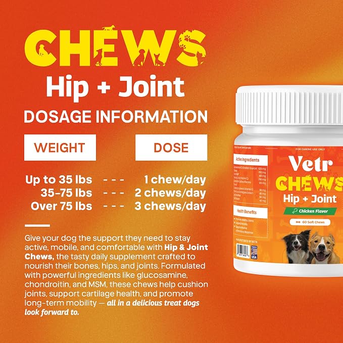 Vetr Hip and Joint Chicken Flavored Chews for Dogs - Glucosamine Chondroitin MSM Supplement - 60 Chewable Tablets - Vet-Formulated in USA