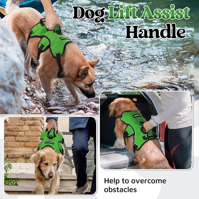 rabbitgoo Escape Proof Dog Harness for X-Large, No Pull with Lift Handle | No Escape, Full Soft Padded, Reflective Adjustable Vest, Leash Clip for Walking Hiking Training, Green, X-Large