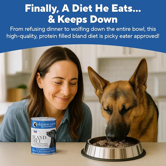 Dave's Pet Food Bland Diet Dog Food, Chicken & Rice, 13.2 oz, 12 pk