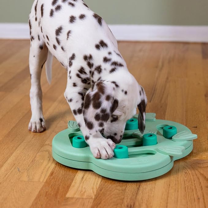 Outward Hound Nina Ottosson Puppy Hide N' Slide Dog Toy Treat Puzzle, 11.6" | Level 2 Intermediate, 14 Hidden Treat Compartments, Holds 1/4 Cup Kibble or Treats, Easy Clean, No BPA, Enrichment, Puppies