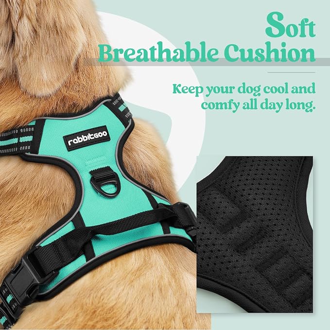 rabbitgoo Dog Harness, No Pull for Small Dogs with 2 Leash Clips, Pet Vest | No Choke with Handle, Adjustable Soft Padded, Reflective, Easy Control for Walking, Turquoise, Small