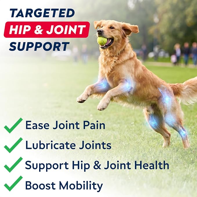 Advanced Hip Joint Supplement for Dogs, Chondroitin & MSM Hip Joint Chews