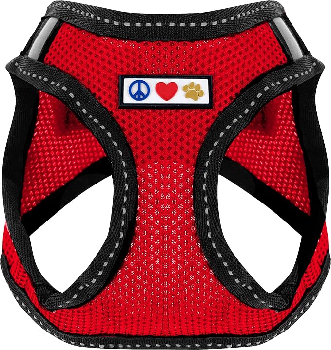 Pawtitas Dog Vest Harness Made with Breathable Air Mesh | All Weather Vest Harness for Medium Puppies and Extra Large Cats with Quick-Release Buckle - Medium Red Mesh Dog Harness