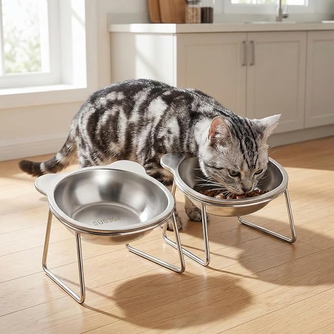 Sterling Whiskers Orthopedic Feeding Bowl, 2 Pack Raised Cat Bowls, 15° Tilted Stainless Steel Elevated Dishes for Small Cats & Dogs, Anti Vomit, Whisker & Spine Friendly