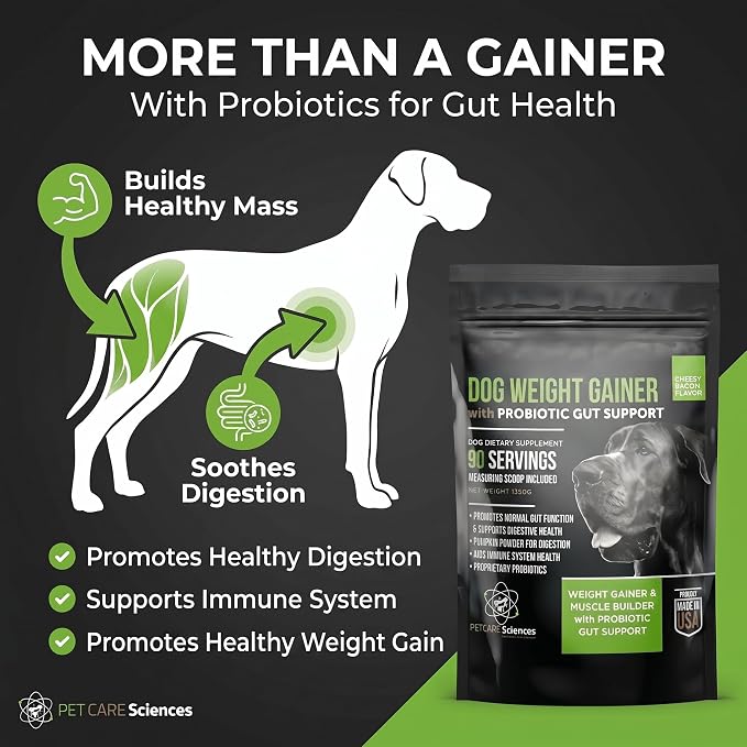 Dog Weight Gainer with Probiotic Gut Support - Weight Gain Supplements for Dogs - Canine and Dog Muscle Builder - 90 Servings - Made in The USA