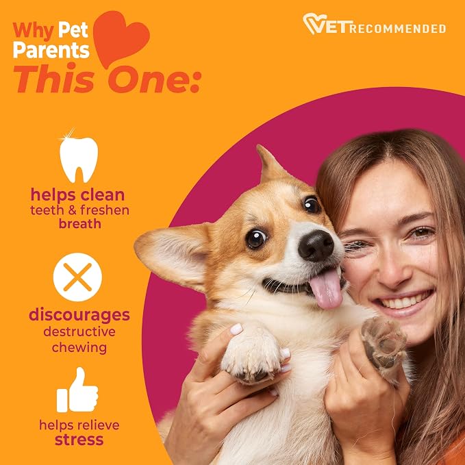 Nylabone Strong Chew Wishbone Dog Toy, Dog Toys for Aggressive Chewers | Durable chew toys for aggressive chewers, chew toy made with real bacon, small breeds up to 25 lbs, long lasting dog bone toy