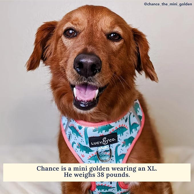 Lucy & Co. Cute No-Pull DinoROAR! Harness - Stop Pulling & Walk Easy - Harness Available in XS-XL for Small, Medium, and Large Dogs - DinoROAR! (Medium)