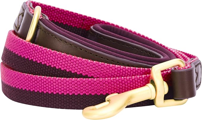 Blueberry Pet Polyester Fabric Webbing and Soft Genuine Leather Dog Leash with Soft & Comfortable Handle, 6 ft x 3/4", Hot Pink and Purple, Leashes for Dogs