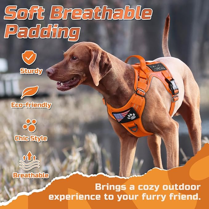 rabbitgoo Tactical Dog Harness for Small, No Pull Military Service Vest | Molle & Handle, Heavy Duty, Adjustable, Reflective Straps, Easy Control for Training Walking, Orange, Small