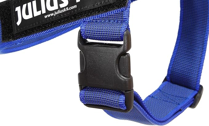 IDC Color & Gray Belt Harness, Size: M/0, Blue-Gray