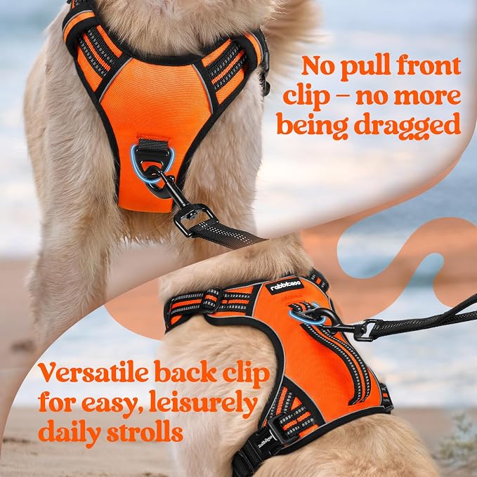 rabbitgoo Large Dog Harness, Easy Wear with 3 Buckles and Lift Handle | No Pull with Front Clip for Walking, Adjustable Soft Padded, Reflective, Easy Control, Orange, Large