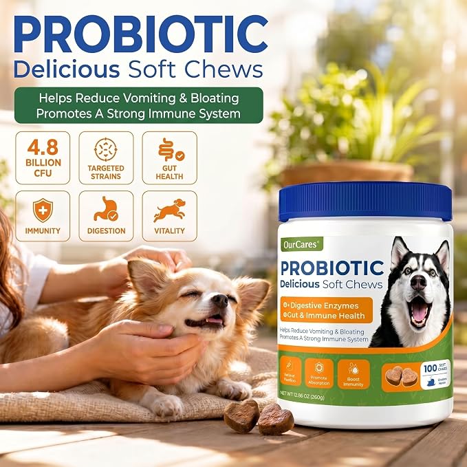 Probiotics for Dogs, Digestive Chews, Pumpkin & Enzymes, 100 Count