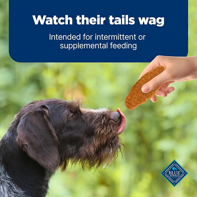 Blue Buffalo Nudges Jerky Bites Dog Treats, Made in the USA with Natural Ingredients, Bite-Sized Pieces, Chicken, 16-oz Bag, (Pack of 4)