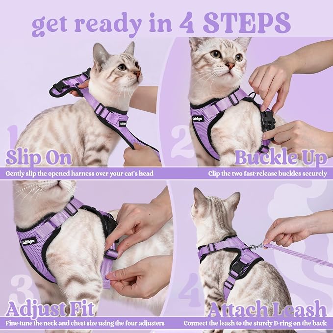 rabbitgoo Cat Harness and Leash Set, Escape Proof Vest, Light Purple | Soft Breathable Mesh, Easy Adjustable Fit, Snap Buckles, Sturdy Clip, Reflective Strips, for Medium to Large Cats Walks, M