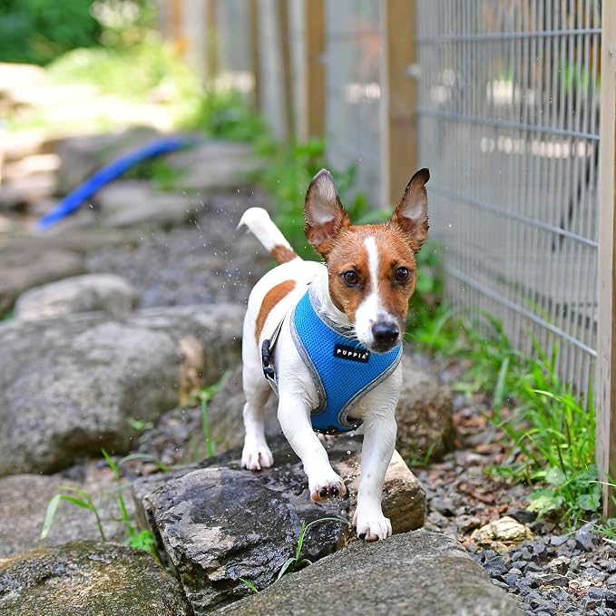 Puppia Soft Harness II - Sky Blue - XL