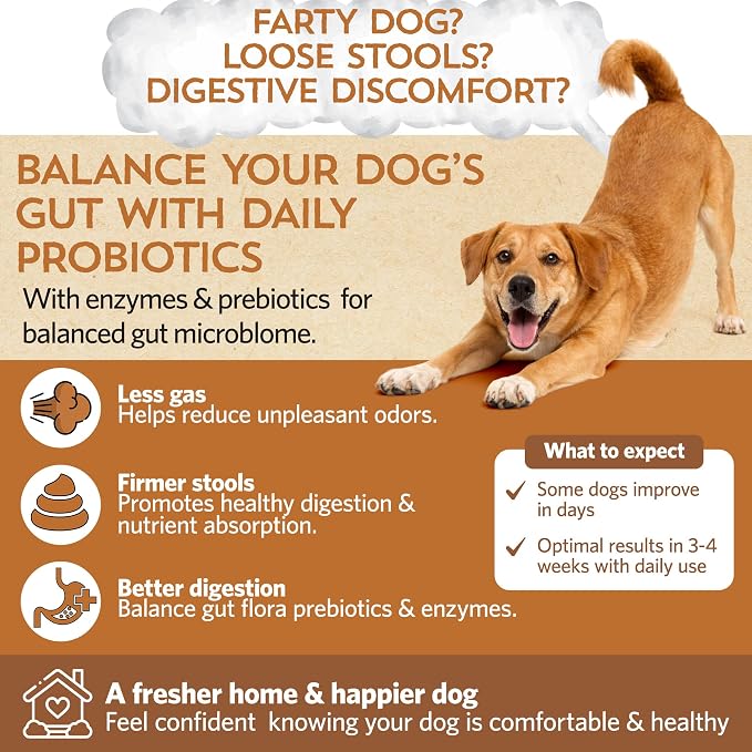 Fidobiotics Good Guts Probiotics for Large Dogs, Pack of 2