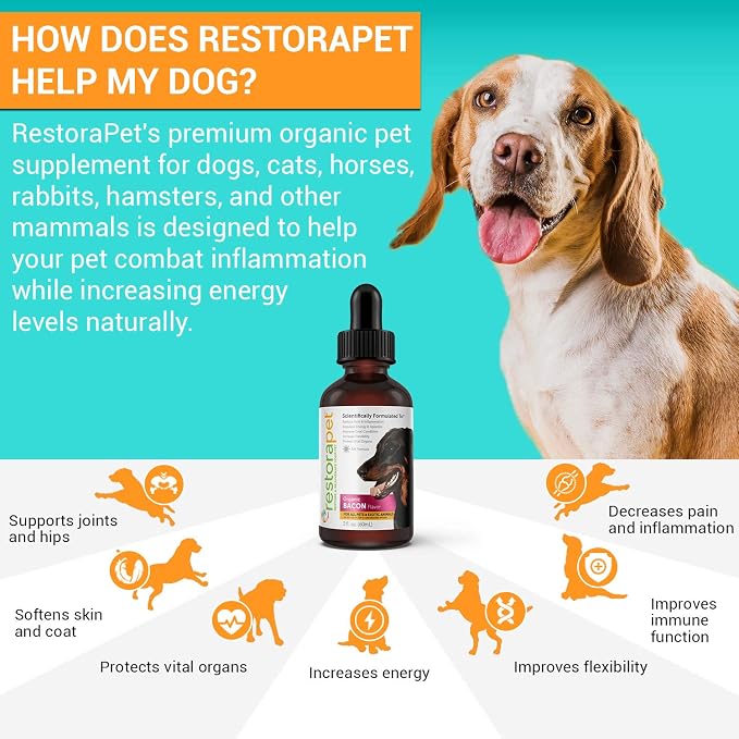 RestoraPet 2-Pack Dog & Cat Bacon Liquid Multivitamin | Dog Arthritis Pain Relief | Hip & Joint Vitamins for Dogs - Anti Inflammatory Supplement for Dogs & Cats | Plant-Based & Non-GMO, Vet Approved