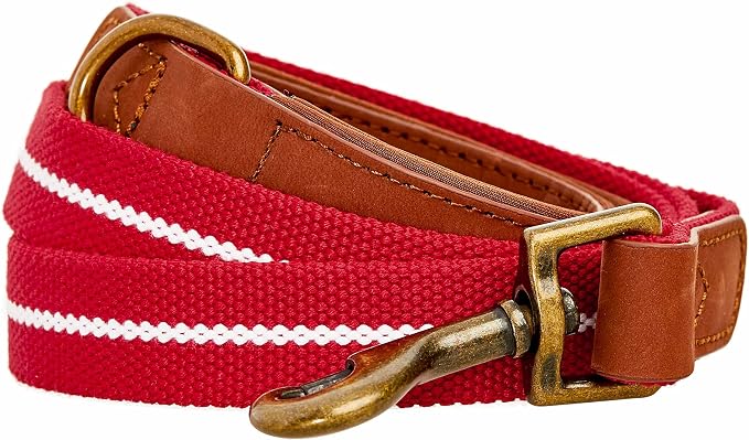 Blueberry Pet Polyester Fabric Webbing and Soft Genuine Leather Dog Leash with Soft & Comfortable Handle, 4 ft x 3/4", Red and White, Leashes for Dogs