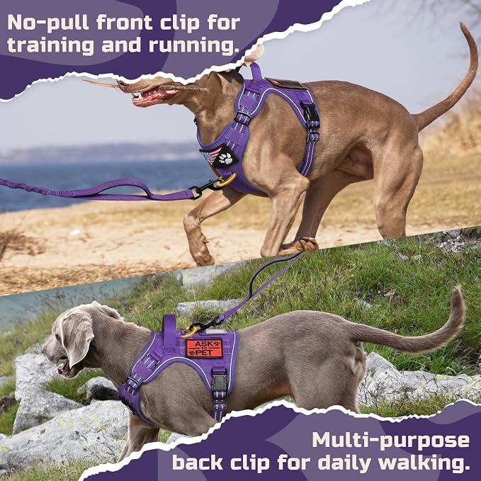 rabbitgoo Tactical Dog Harness for X-Large, No Pull Military Service Vest | Molle & Handle, Heavy Duty, Adjustable, Reflective Straps, Easy Control for Training Walking, Purple, X-Large