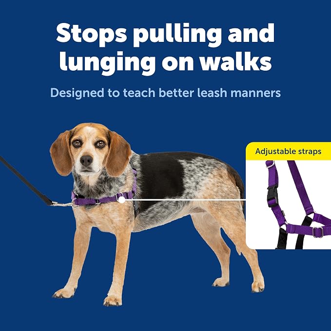 PetSafe Easy Walk No-Pull Dog Harness - Ultimate Harness to Help Stop Pulling - Pull-Free Walks - Take Control & Teach Better Leash Manners - Patented Martingale Loop Design - Deep Purple,Small/Medium