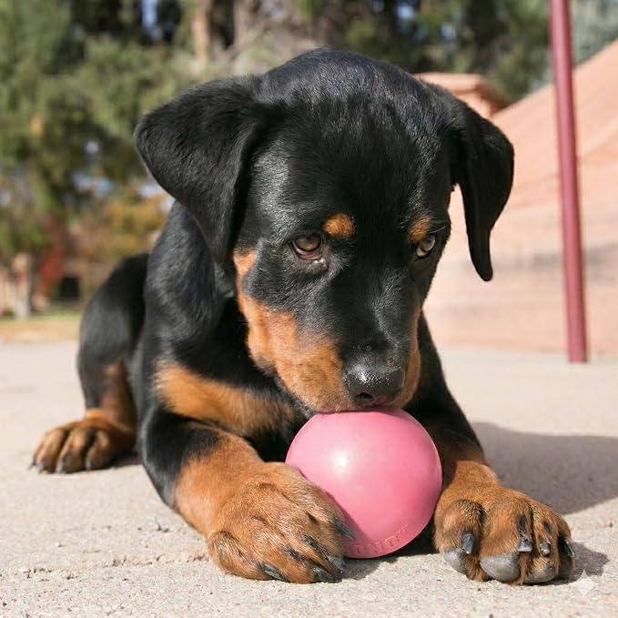 KONG Puppy Ball with Hole, Teething Toy, Medium/Large Puppies, Random Color | Soft & Durable Activity Ball That Supports Healthy Exercise, Interactive Play & Natural Teething for Puppies