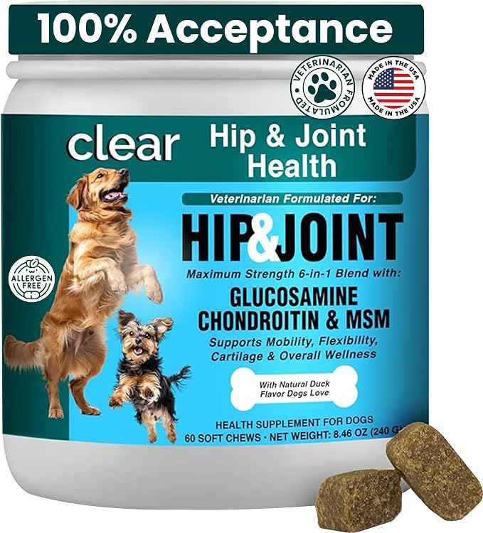 Glucosamine for Dogs Hip and Joint Supplement - Chondroitin, MSM, Green-Lipped Mussel - Clear Hip & Joint - Advanced Mobility Cartilage Support, Bone Health - Tasty Chews 60ct - Made in USA