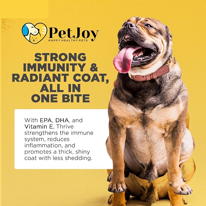 PetJoy Thrive Dog Multivitamin Soft Chew - Daily Dog Vitamins for Energy, Healthy Skin & Coat, and Stronger Bones & Teeth - Complete Support Supplement, Multivitamin for Dogs & Pets (60 Count)