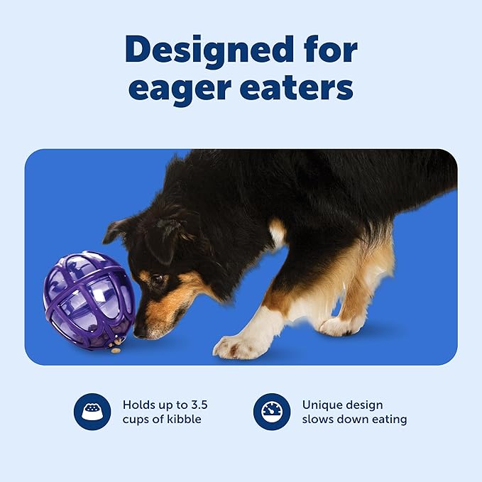 PetSafe Busy Buddy Kibble Nibble Dog Toy - Encourages Natural Instinct Feeding - Patented Treat Meter Design - Rubber Bumpers - Interactive Slow Feeder Ball - Purple - Large