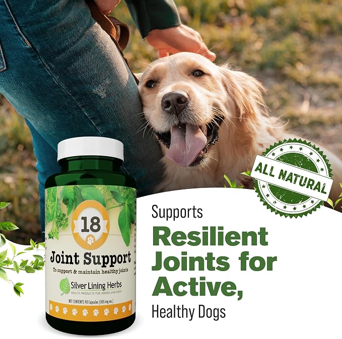 Silver Lining Herbs Dog Joint Supplement, Mobility & Comfort - 90 Ct