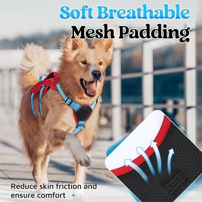 rabbitgoo Escape Proof Dog Harness for Large, No Pull with Lift Handle | No Escape, Full Soft Padded, Reflective Adjustable Vest, Leash Clip for Walking Hiking Training, Sky Blue & Red, Large
