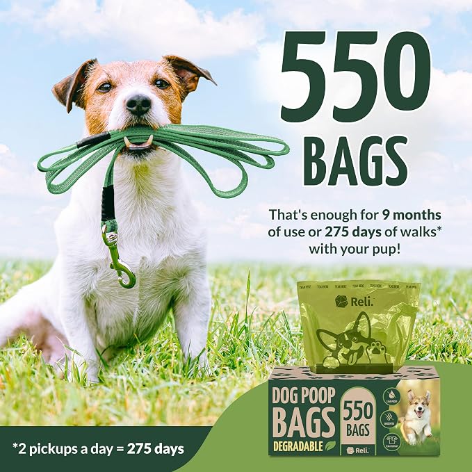Reli. Biodegradable Dog Poop Bags (550 Count, Bulk) (Large Single Roll - Dispenser Box) | 9x13" Large Dog Bags for Poop | Green, Eco-Friendly | Oxobiodegradable Pet Waste Disposal | Unscented