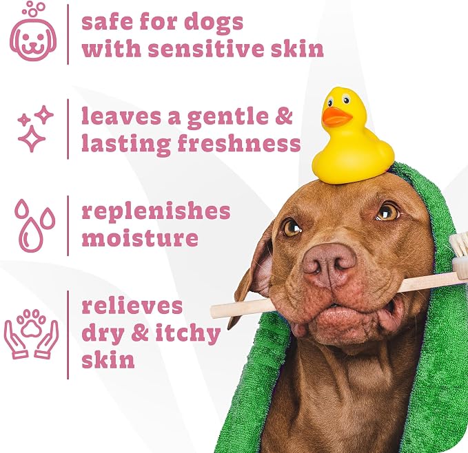 Espree Simple Soothe Dog Shampoo & Conditioner, Dog Grooming, 20 oz