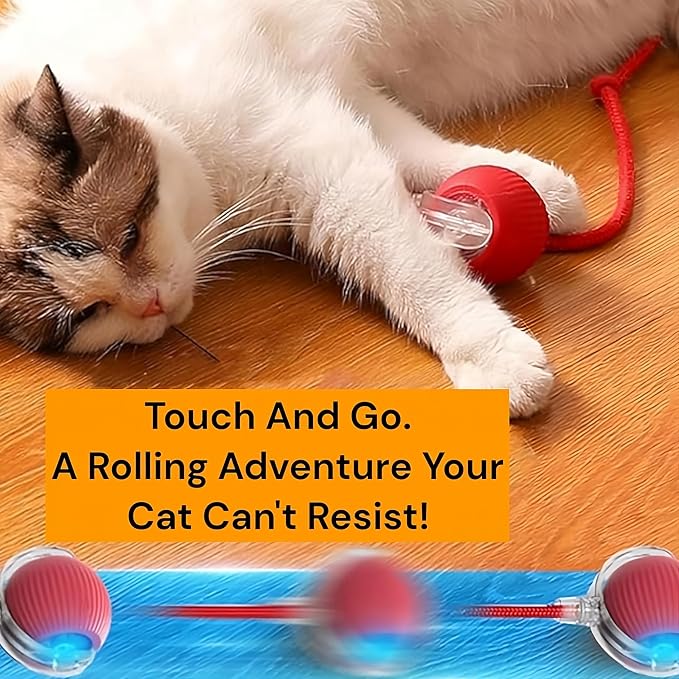 Interactive Electric Automatic Rolling Moving Rechargeable Self Play Stimulation Toy,Smart Pet Chase with Speedy Tail Rope for Bored Indoor Cats (Yellow)