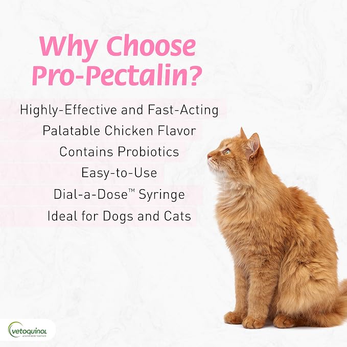 Vetoquinol Pro-Pectalin Oral Paste for Dogs & Cats – Chicken Flavor – Helps Reduce Occasional Loose Stool & Diarrhea, Balance Gut pH, Support Normal Digestion