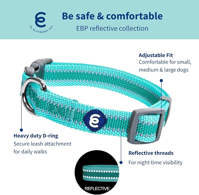 Blueberry Pet Essentials Dog Collar Pack of 2 - Reflective Dog Collars for Medium Dogs, Dog Collar for Large Dogs, Adjustable Minty Green Pet Collar with Eco-Friendly Buckles, Medium Size