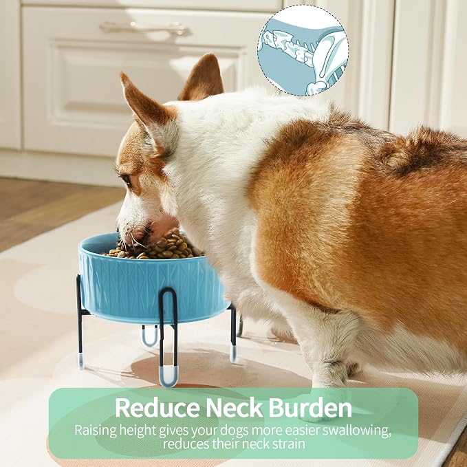 32 OZ Raised Dog Cat Bowls with Elevated Metal Stand, 6.5 Inch Ceramic Round Pet Food and Water Feeder Bowl Dish for Cats & Dogs, White & Blue, Set of 2