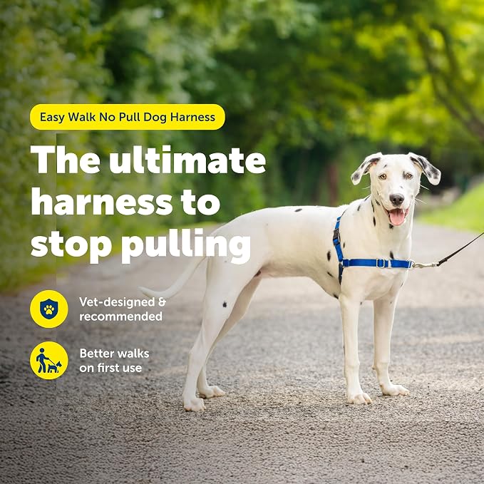 PetSafe Easy Walk No-Pull Dog Harness - Ultimate Harness to Help Stop Pulling - Pull-Free Walks - Take Control & Teach Better Leash Manners - Patented Martingale Loop Design - Royal Blue, Medium/Large