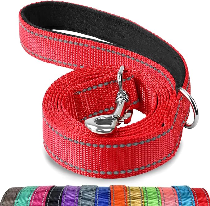 Joytale Reflective Dog Leash for Small Dogs, 4 FT x 3/4", Red | Heavy Duty Nylon Webbing, Padded Handle for Comfort, Visible at Night, for Walking & Training