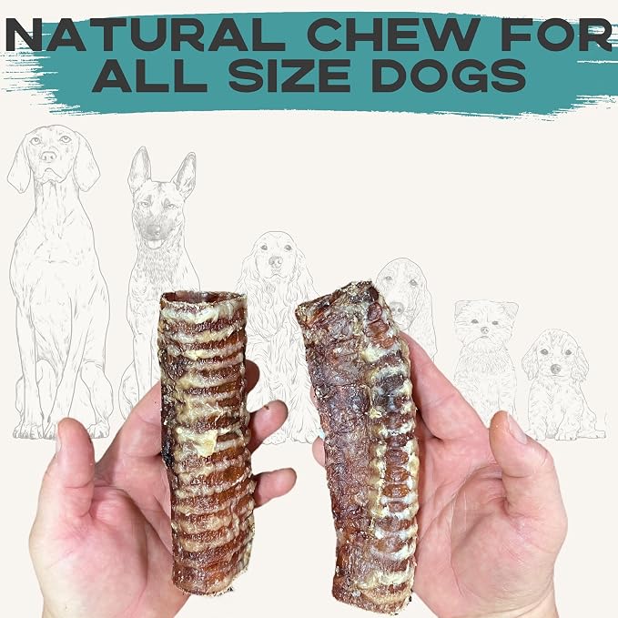 JACK'S PREMIUM Beef Trachea - Thick Beef Dog Chews - All Natural Made in USA Single Ingredient Rawhide Alternative 6-8 Inches (8 Pack)