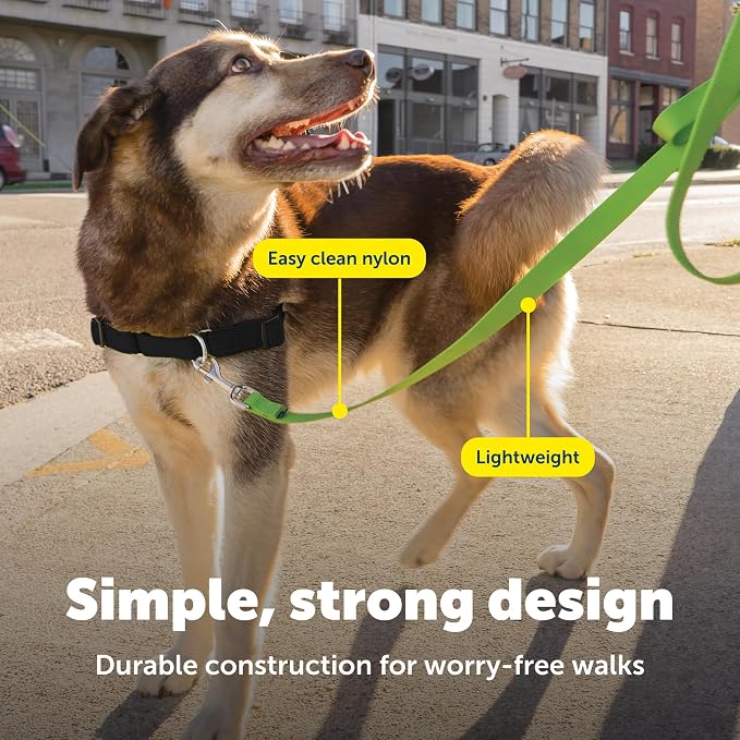PetSafe Nylon Dog Leash - Strong, Durable, Traditional Style Leash with Easy to Use Bolt Snap - 3/4 in. x 6 ft., Apple Green | Durable Nylon Leash with Easy on/off Bolt Snap Hook, Pairs Perfectly with Easy Walk Harness and Gentle Leader Headcollar