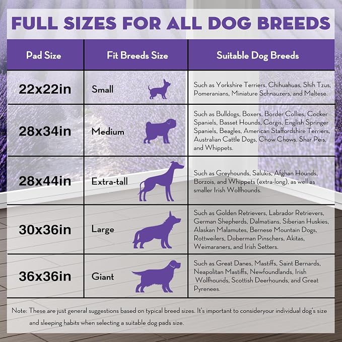 CROCI 22x22in Puppy Pads 100 Count with Adhesive Tabs, Dog Pads Absorbs Up to 3 Cups Potty Training, Disposable