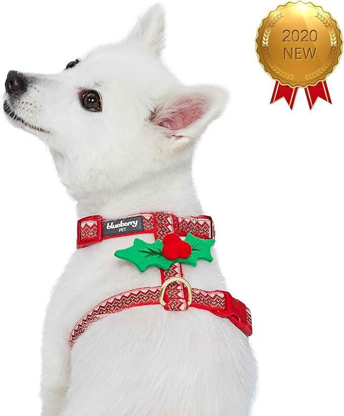 Blueberry Pet Christmas Zigzag Chevron No Pull Dog Harness with Holly Décor, Medium, Adjustable Harnesses for Dogs