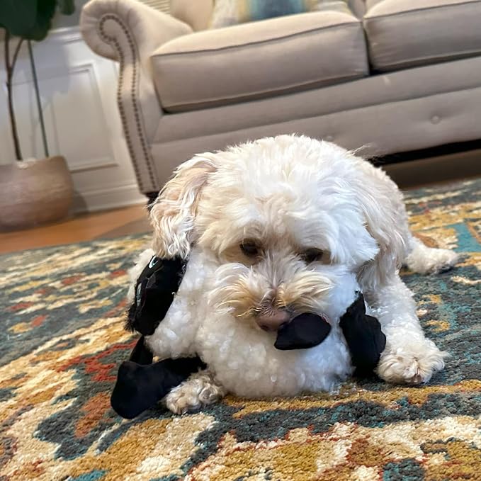 SPOT Baa Baa Black Sheep Plush Dog Toy - Cute and Cuddly Fleece Toy with Squeaker for Medium to Large Dogs and Puppies, 13in Black and White Lamb