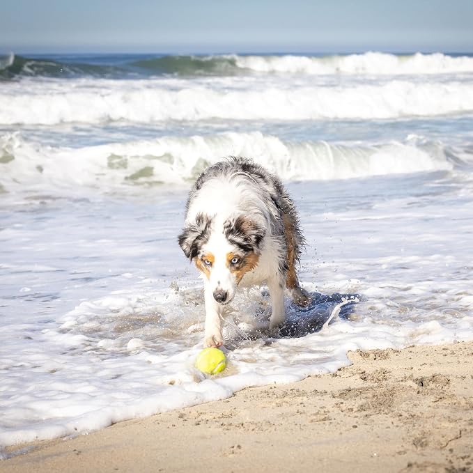 Hyper Pet K9 Kannon Dog Ball Thrower Launcher for Dogs, All Breeds Up To 60 Pounds, With One Hyper Pet 2.5 Inch Tennis Ball, For All Breeds | K9 Kannon Launcher for Dogs of All Breeds up to 60 Pounds, Includes One Hyper Pet 2.5 In Tennis Ball